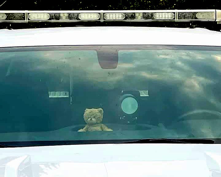 Naomi Pascal's stuffed bear, Teddy, sits in the patrol truck of Glacier National Park law enforcement ranger Tom Mazzarisi earlier this year. (photo provided)