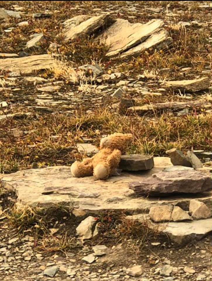 A photo of Naomi Pascal's missing bear, Teddy, taken by Michigan's Nona Windham shortly after the bear was left behind on Glacier National Park's Hidden Lake Trail in October 2020.
