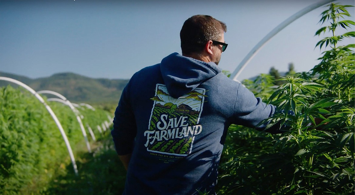 John Lynch, a manager at Haskill Creek Farms, walks through the hemp farm this summer. Purchases from Haskill Creek Farms help support the Save Farmland Fund. (Courtesy photo)