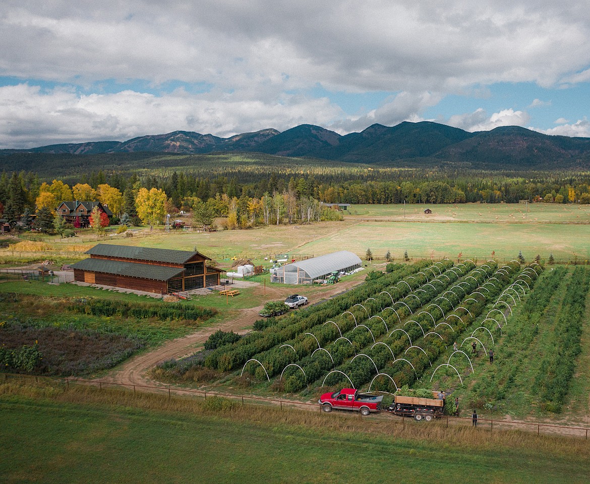 An overhead view of Haskill Creek Farms off Edgewood Place in Whitefish. Co-owner of Haskill Creek Farms, Scot Chisholm, founded the Save Farmland nonprofit with a goal of preserving agricultural land in the Flathead Valley. (Courtesy photo)
