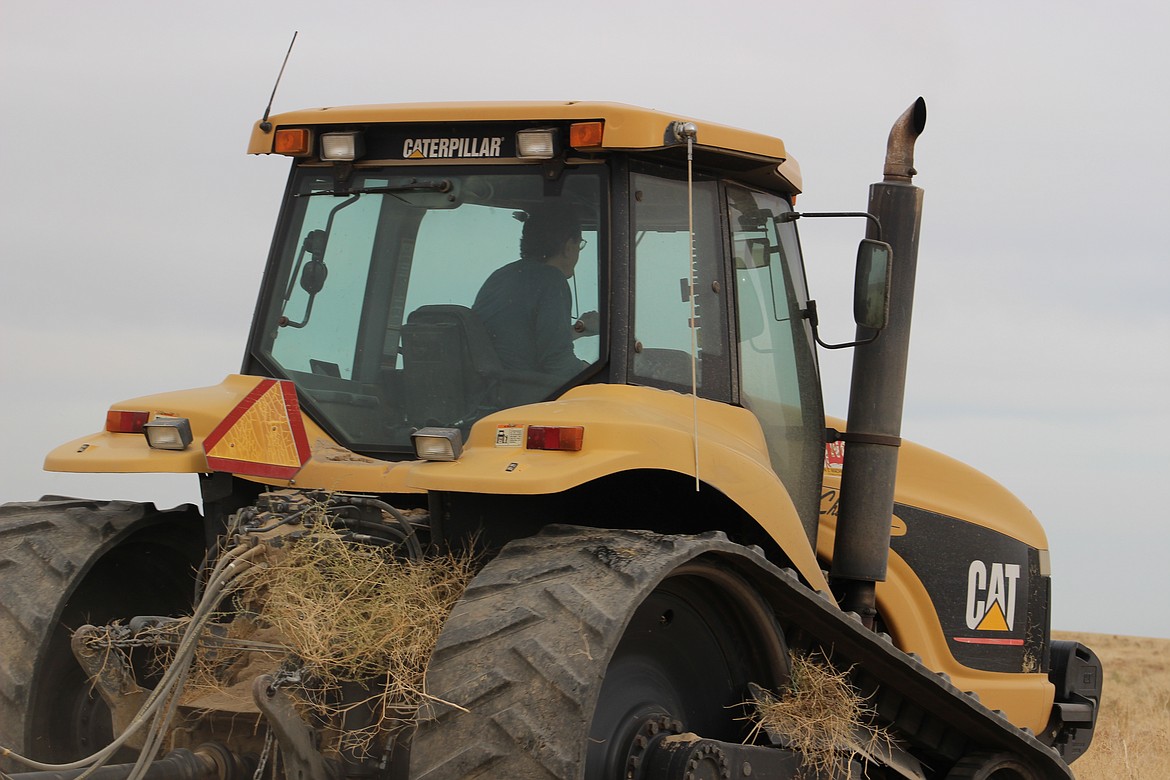 Tom Pfeifer mows CRP (Conservation Reserve Program) land in his Cat tractor. Pfeifer declined to be photographed close up.