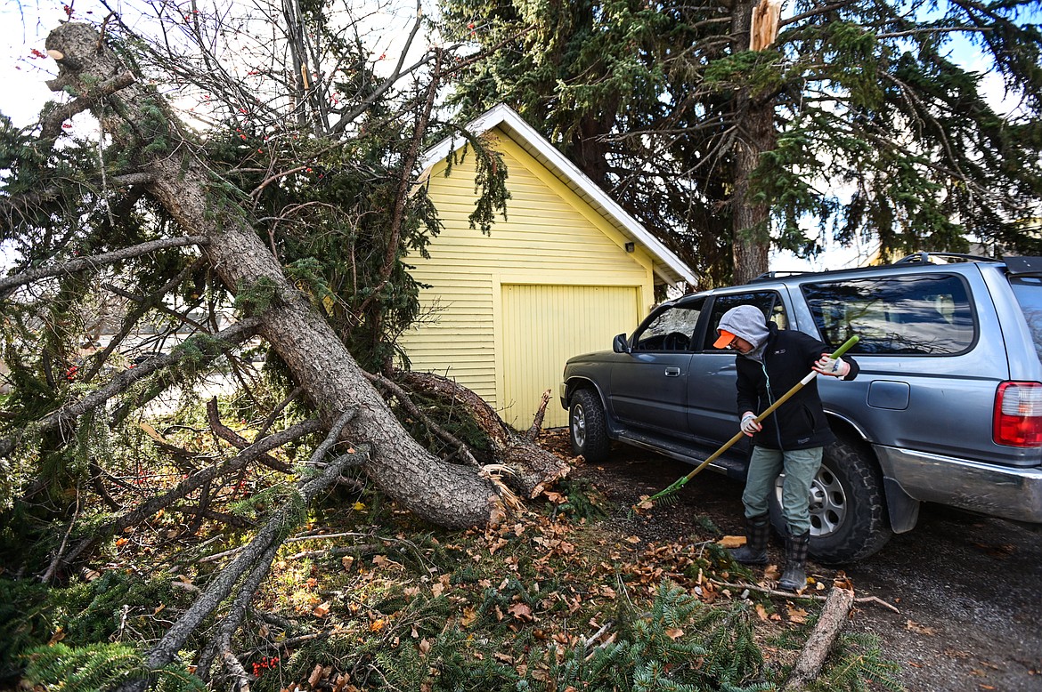 Joni Hanson sweeps up debris after a wind storm brought down a large limb onto her vehicle, smashing the windshield and damaging nearby power lines at 11th Street East and Third Avenue East in Kalispell on Tuesday, Nov. 16. (Casey Kreider/Daily Inter Lake)