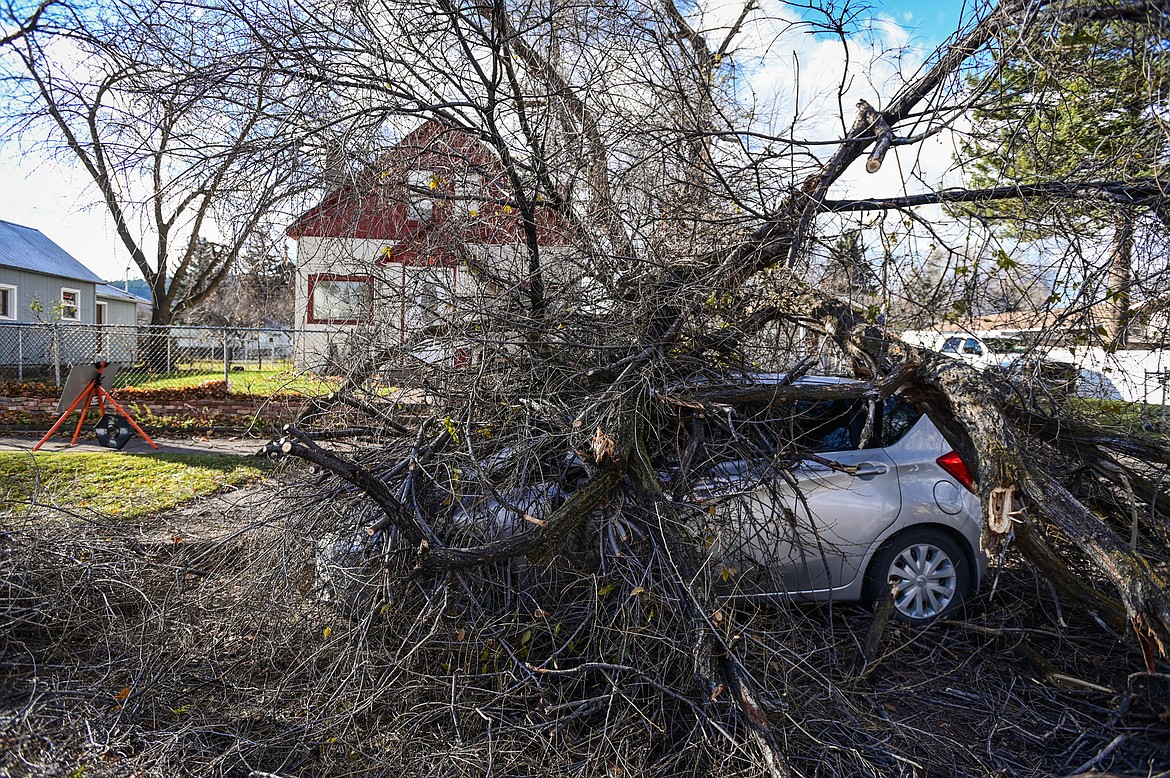 Fallen tree limbs and debris from an overnight wind storm bury a car along Third Avenue West in Kalispell on Tuesday, Nov. 16. (Casey Kreider/Daily Inter Lake)