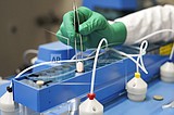 Pfizer asks US officials to OK promising COVID-19 pill