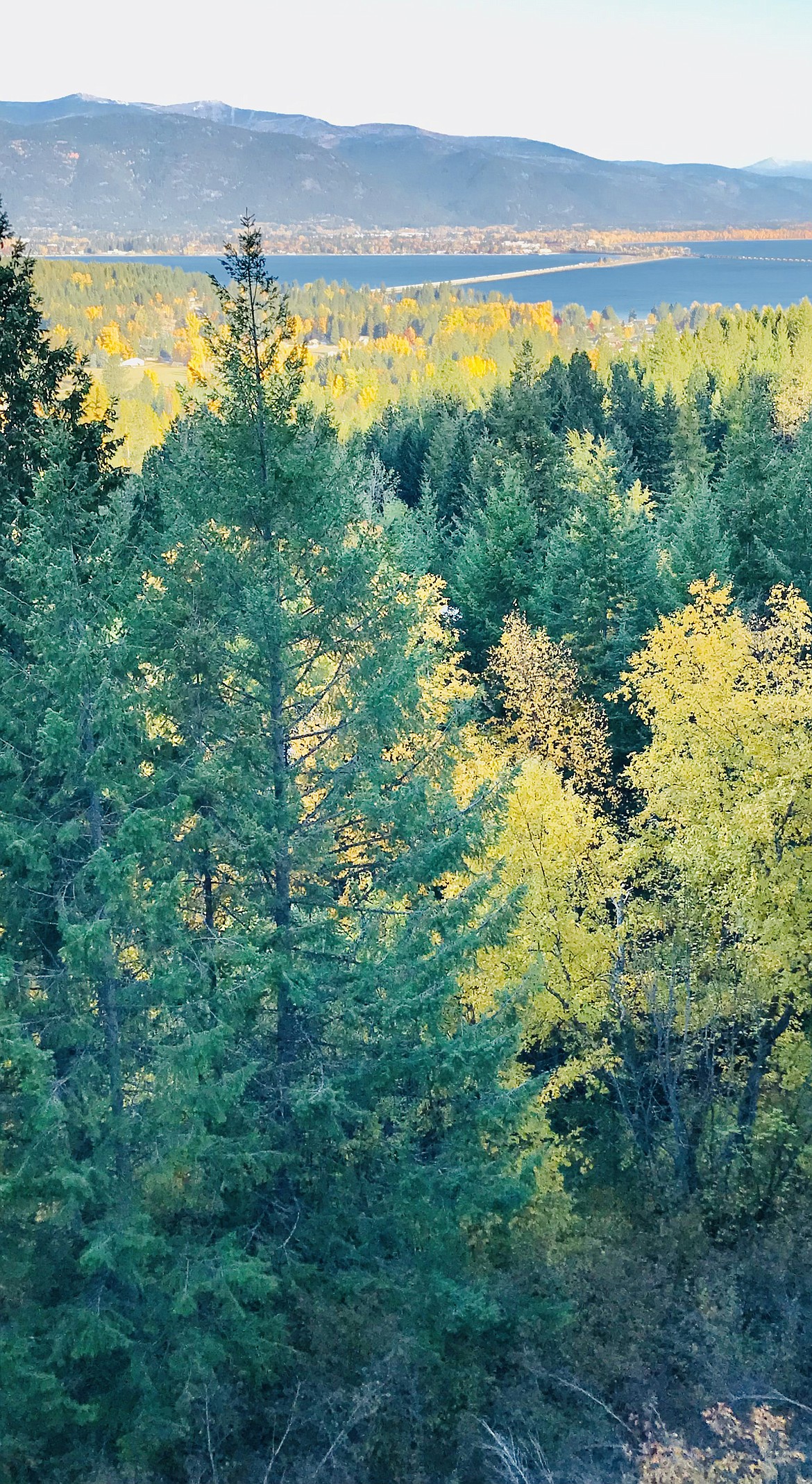 "Best colors in years, so enjoyable after the harsh summer," writes Ron Fausnight in sharing this Best Shot. If you have a photo that you took that you would like to see run as a Best Shot or I Took The Bee send it in to the Bonner County Daily Bee, P.O. Box 159, Sandpoint, Idaho, 83864; or drop them off at 310 Church St., Sandpoint. You may also email your pictures in to the Bonner County Daily Bee along with your name, caption information, hometown and phone number to bcdailybee@bonnercountydailybee.com.