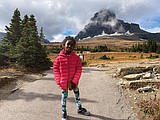 In Glacier, a much different bear story