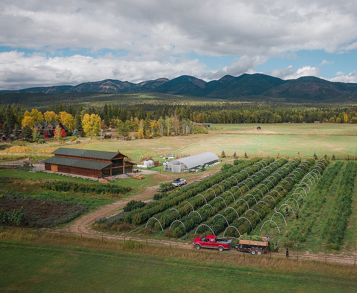 An overhead view of Haskill Creek Farms off Edgewood Place in Whitefish. Co-owner of Haskill Creek Farms, Scot Chisholm, founded the Save Farmland nonprofit. (Courtesy photo)