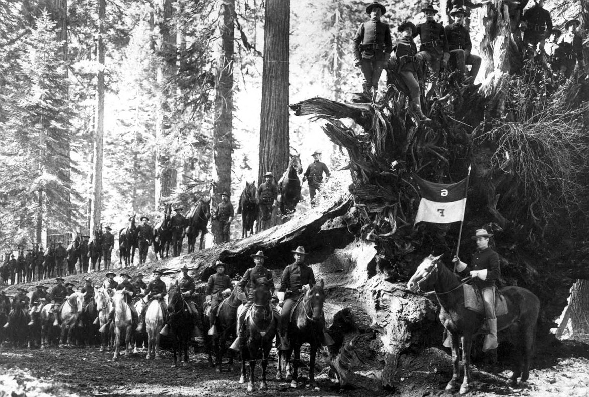 U.S. Cavalry F Troop at “Fallen Monarch” Sequoia redwood in Mariposa Grove, Yosemite, the tree believed to be 1,800 years old, and fallen down 300 years ago (Photo c.1899).