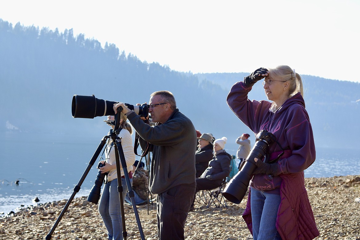 From left, hobby photographers Jay Mlazgar of Moscow and Susie Courpet of Post Falls spent Monday morning photographing eagles at Higgens Point along Lake Coeur d'Alene. About 50 photographers and bird watchers lined the shores to get a shot of the migrating birds who come to the lake to feed on spawning kokanee salmon. HANNAH NEFF/Press