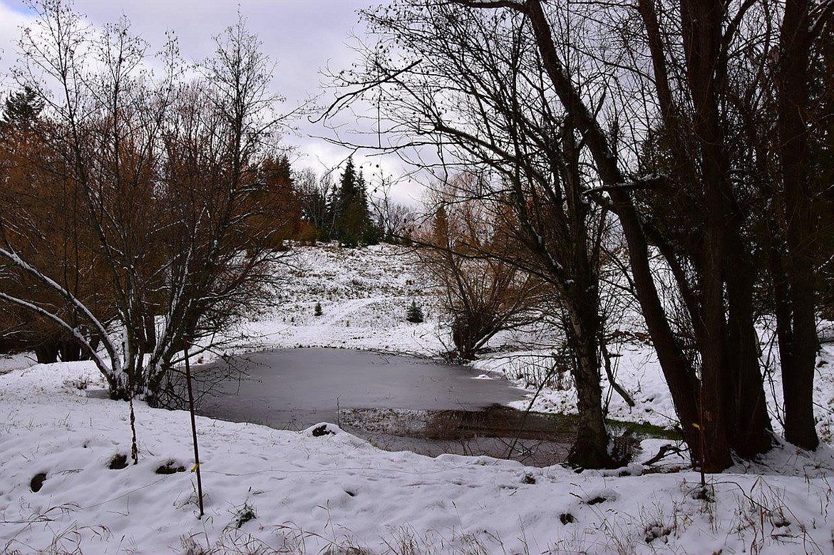 Local photographer Robert Kalberg captured "Adventure Drive" photo in the Kootenai Trail Road area.