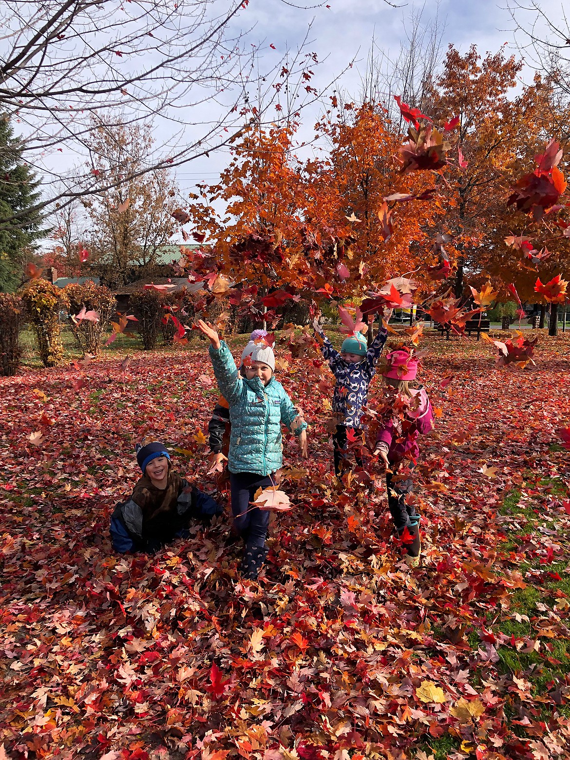 A group of Sandpoint Waldorf School students have fun playing in the leaves.