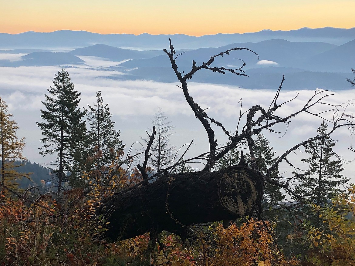 "Beautiful morning in North Idaho," writes Gayl Downard in sharing this Best Shot. If you have a photo that you took that you would like to see run as a Best Shot or I Took The Bee send it in to the Bonner County Daily Bee, P.O. Box 159, Sandpoint, Idaho, 83864; or drop them off at 310 Church St., Sandpoint. You may also email your pictures in to the Bonner County Daily Bee along with your name, caption information, hometown and phone number to bcdailybee@bonnercountydailybee.co