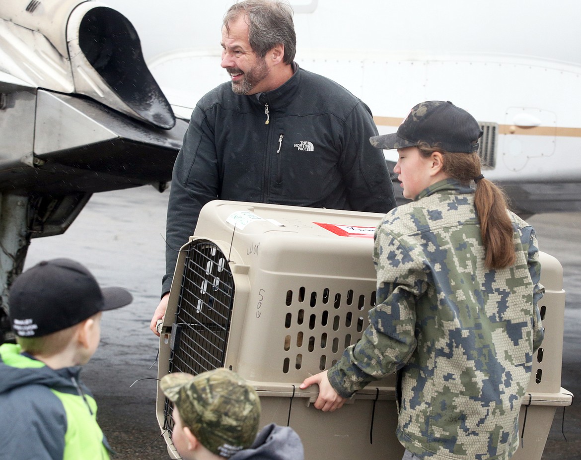 Volunteers Larry Richards and Avery Whaley carry crated dogs that arrived via Wings of Rescue at the Coeur d'Alene Airport to waiting transportation to the Kootenai Humane Society on Saturday.