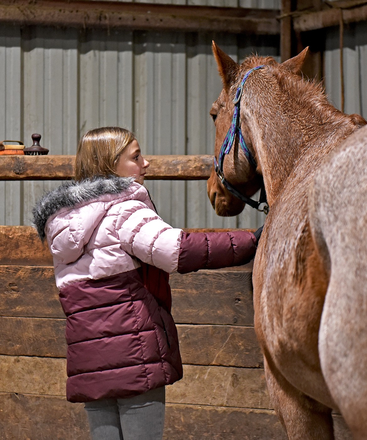 Whitefish Christian Academy sixth grade student Madison Erickson gently embraces a horse at Lost Creek Ranch as part of the school's Horsemanship Program on Friday, Nov. 12. (Whitney England/Whitefish Pilot)