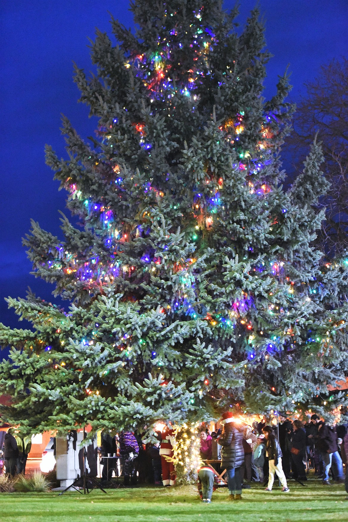 A tree on the corner of the Lake County Courthouse lawn was illuminated with Christmas lights. (Scot Heisel/Lake County Leader)