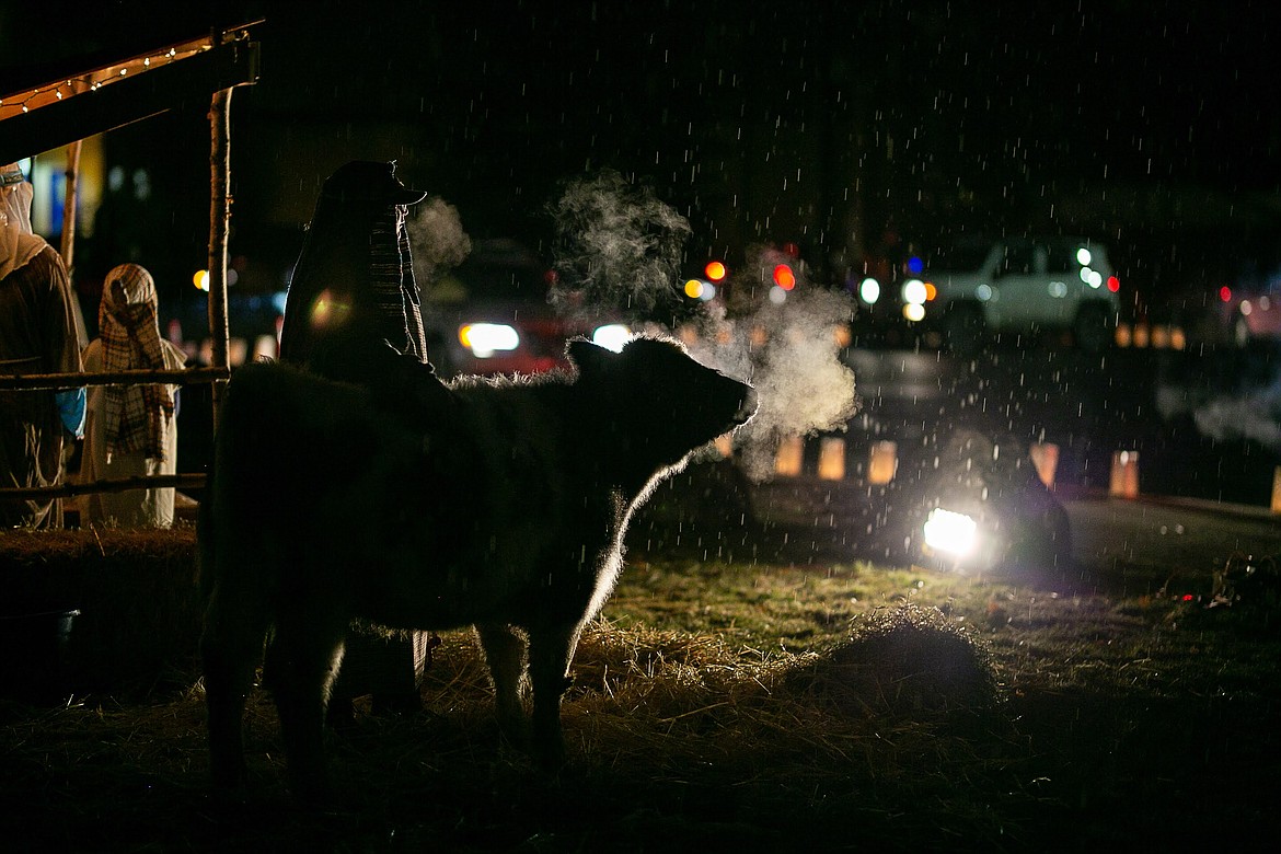 A scene from the Living Nativity at Christ Our Redeemer Church in 2020.