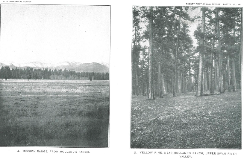 Ayres 1899 image from the Swan Valley. Note the openness of the Missions in the left-hand picture and the park like setting of Ponderosa pine and Larch in the right hand picture. USGS, 21st Annual Report, 1900.