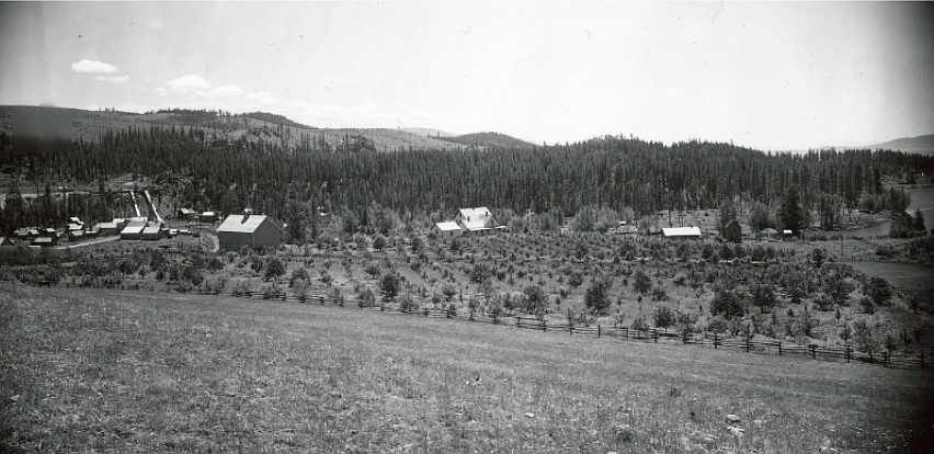 1901 view looking south from above the Sliter’s farm. Crane Mountain to the left in the background with open slopes. Attribution – University of Chicago Botanical Survey 1901