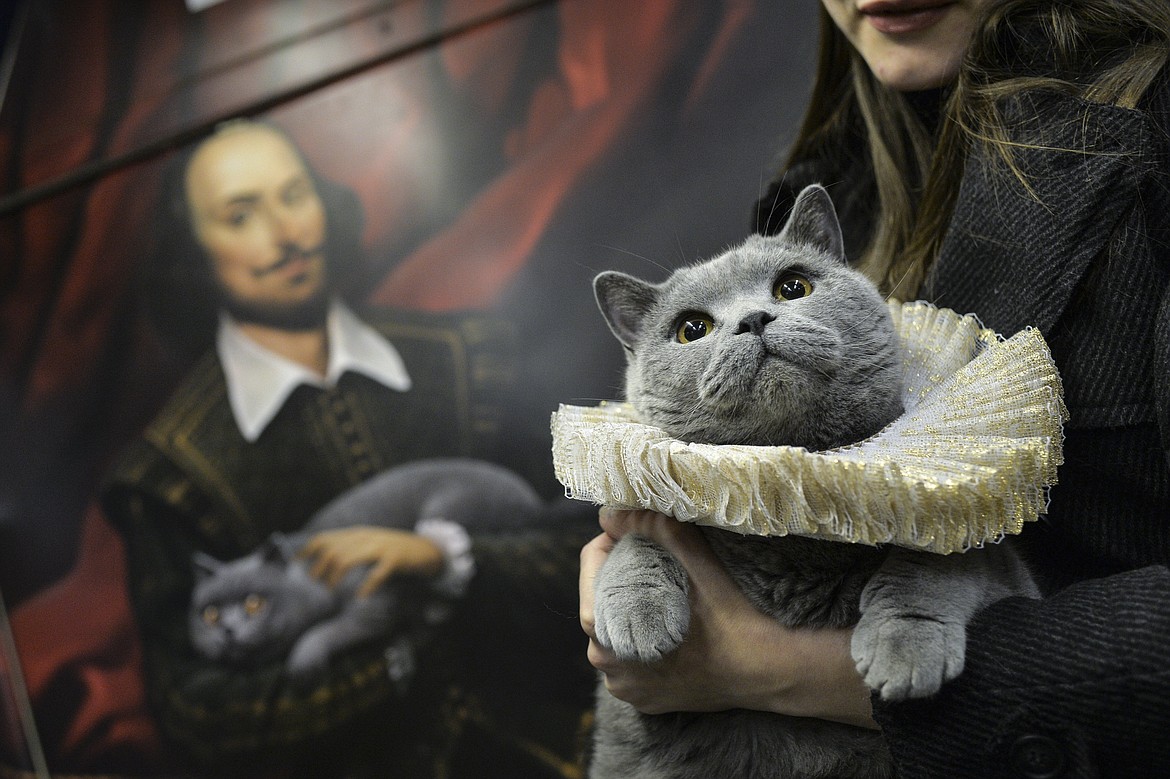 Cats are often mentioned in literature, at least 44 times by Shakespeare alone — such as greymalkin, an evil spirit in the form of a cat sent by Satan to help one of the witches in Act I of "Macbeth."