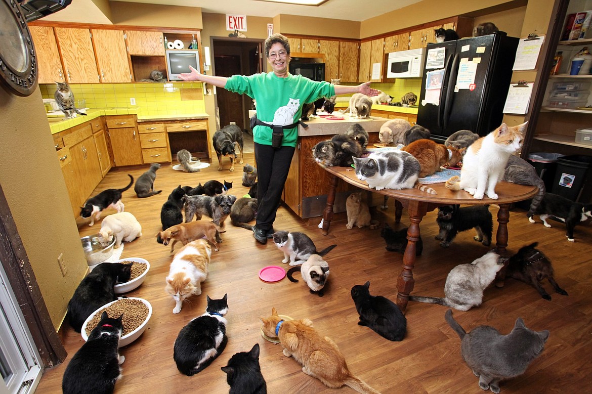 Lynea Lattanzio, has 1,100 cats at her home/cat shelter in California.