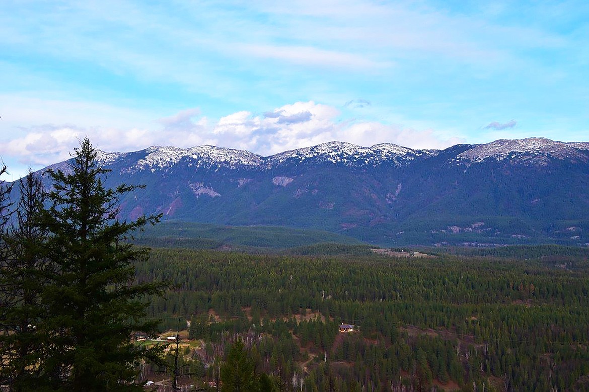 Local photographer Robert Kalberg captured this photo in the Katka Road area recently.