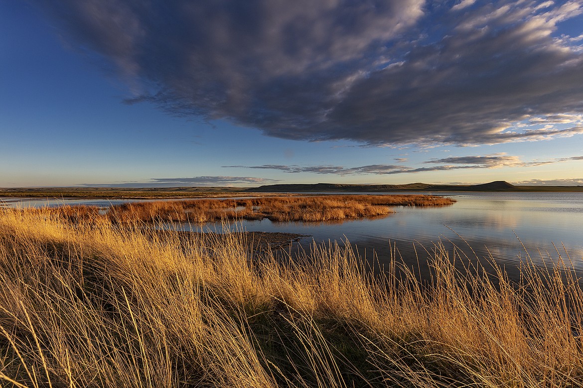 Sunset along wetlands of Freezeout Lake Wildlife Management Area near Fairfield, Montana. (Chuck Haney photo)