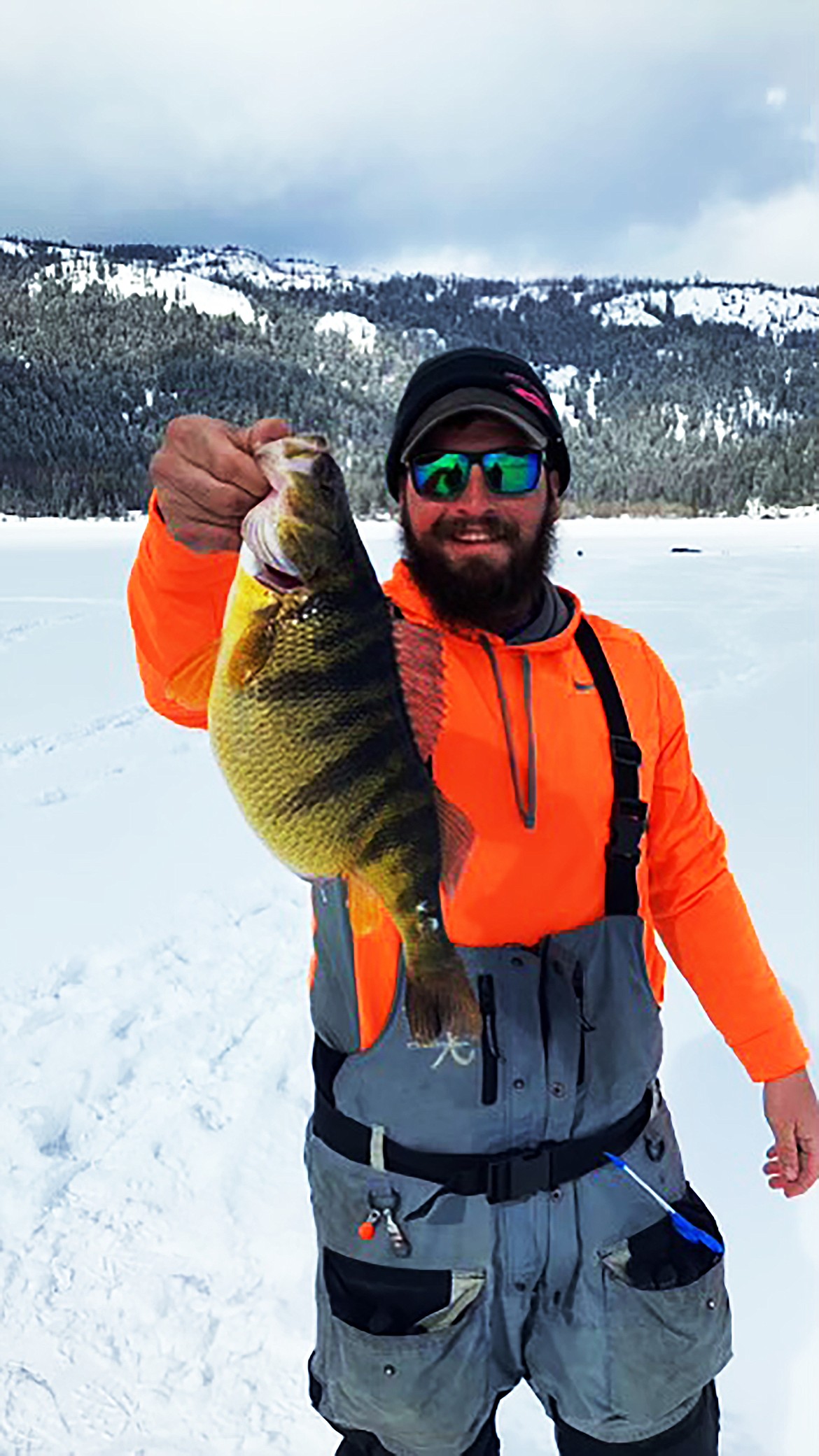 Adam Mann caught this certified weight record perch on Lake Cascade. The perch weighed in at 3.22 pounds.