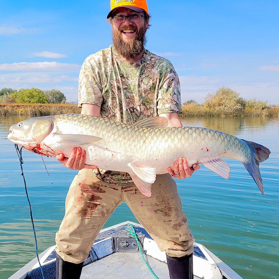 Cris Endicott landed this 46.7-pound Snake River grass carp on Oct. 10. Measuring 50 inches long, it set a new rod/reel certified weight state record for the species.