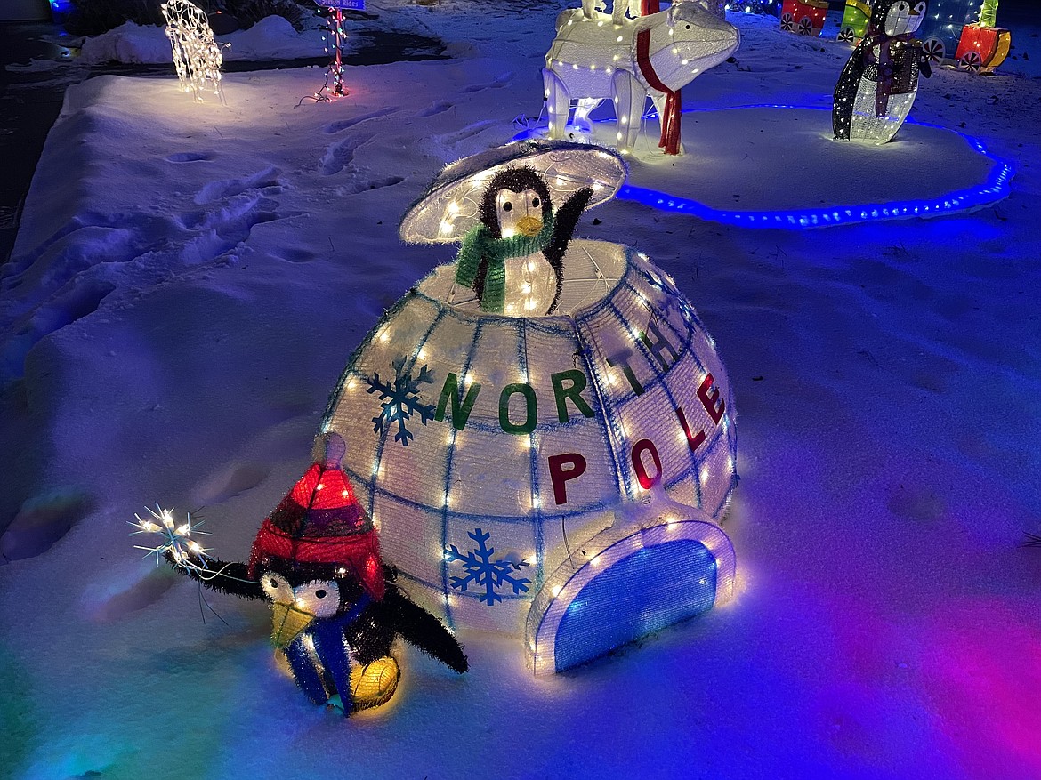 The penguins and their igloo are a popular part of Brady Wiltbank’s Christmas decorations.