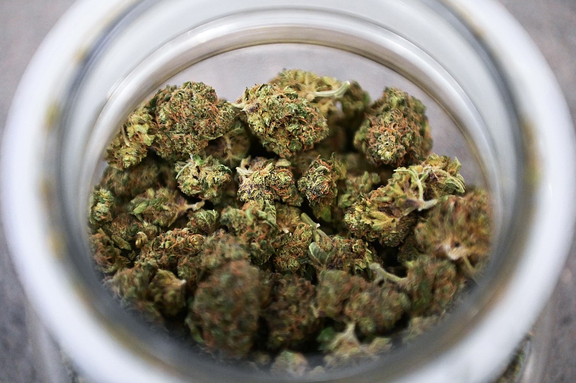 A jar of an indica strain of marijuana called Misty Kush at Fruit Factory in Columbia Falls on Wednesday, Dec. 22. (Casey Kreider/Daily Inter Lake)