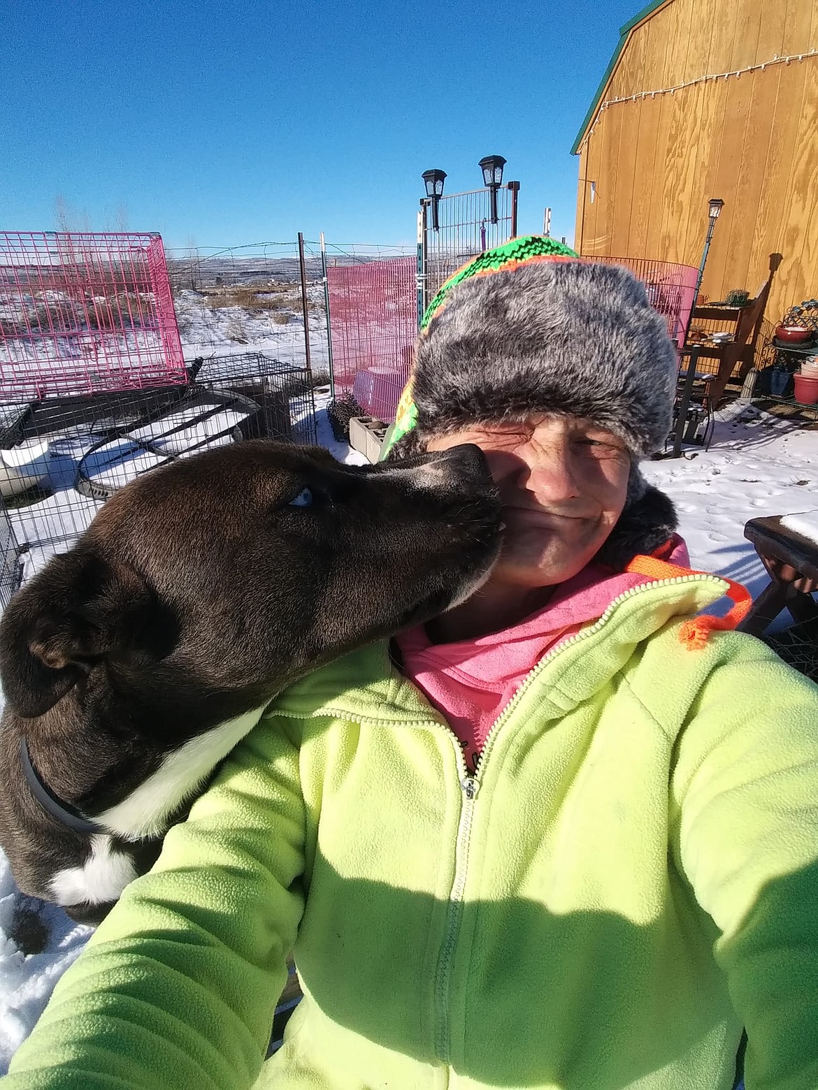 Shawna Kluge winces when Shelby the dog gets right in her face.