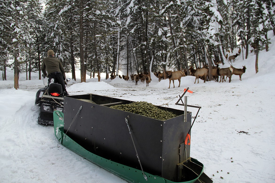 Fish and Game is feeding deer and elk at nearly 100 feed sites across southern Idaho and expects to spend about $625,000 on feed this winter.