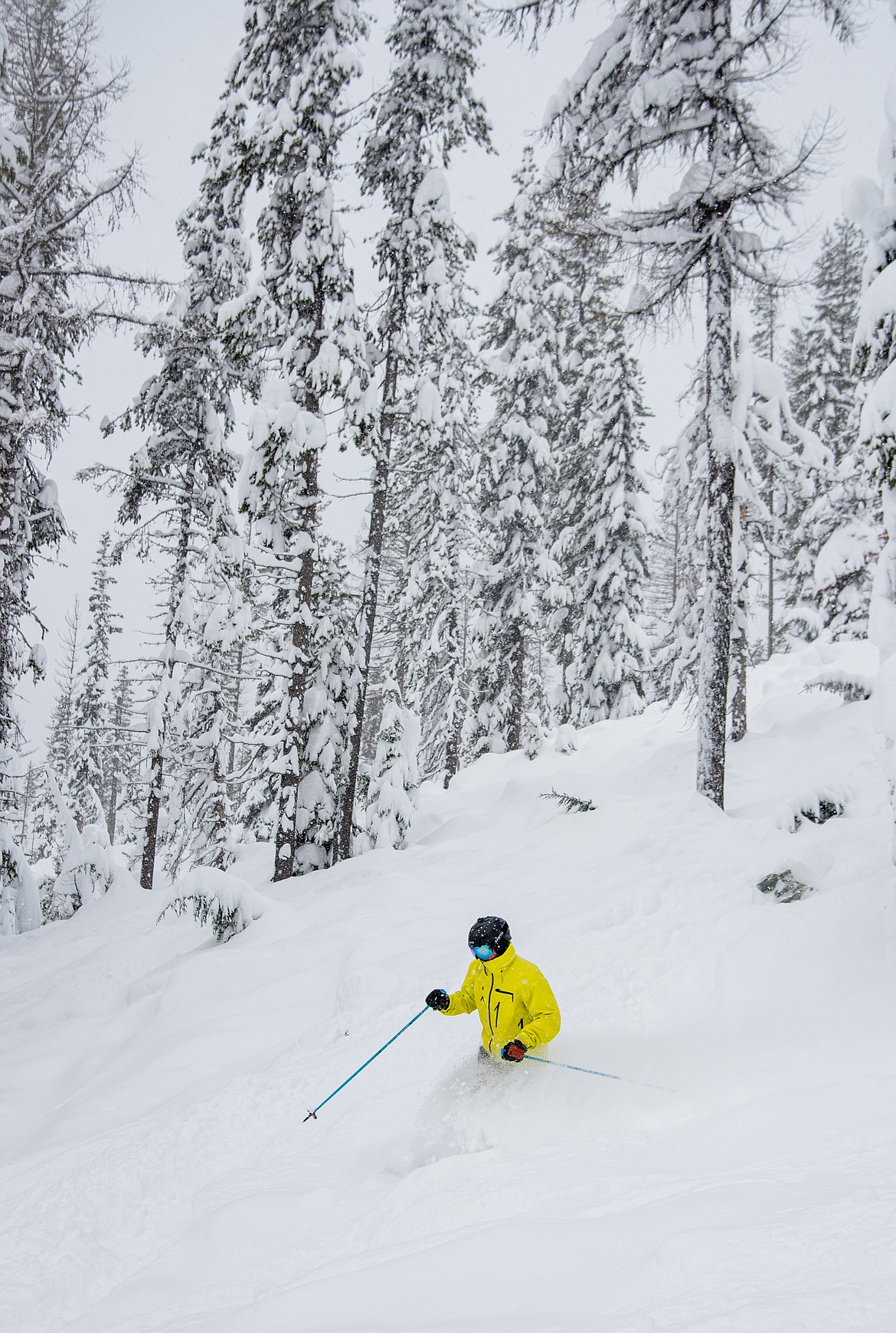 A skier heads down a run at Lookout Pass Ski Resort on Sunday. Photo  courtesy of Lacey Johnson for Lookout Pass Ski Area