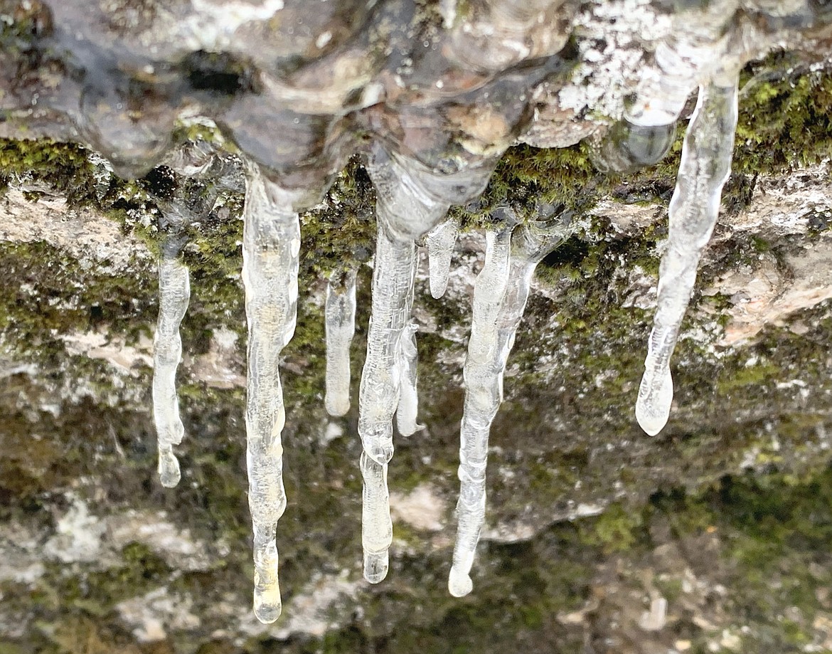 Icicles hang off a boulder on Tubbs Hill.