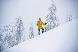 Fogged in en route to Huckleberry Lookout
