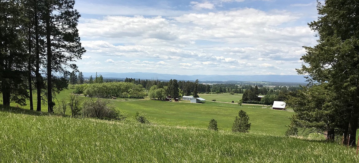 A 38.9-acre farm south of Columbia Falls has been put into a conservation easement by siblings Charles and Diane Taylor. (Courtesy photo)