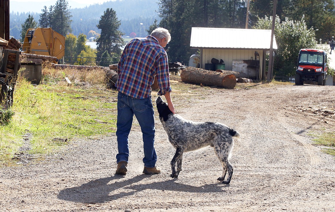 John Matheson pets Cowboy during a visit to the family farm in Hauser in early October.