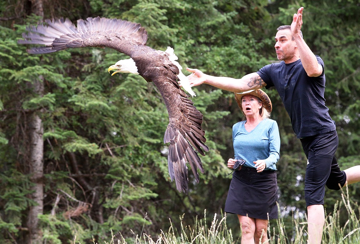 Drew Day lets a bald eagle fly free while Jane Veltkamp of Birds of Prey Northwest looks on in Coeur d'Alene on July 20.