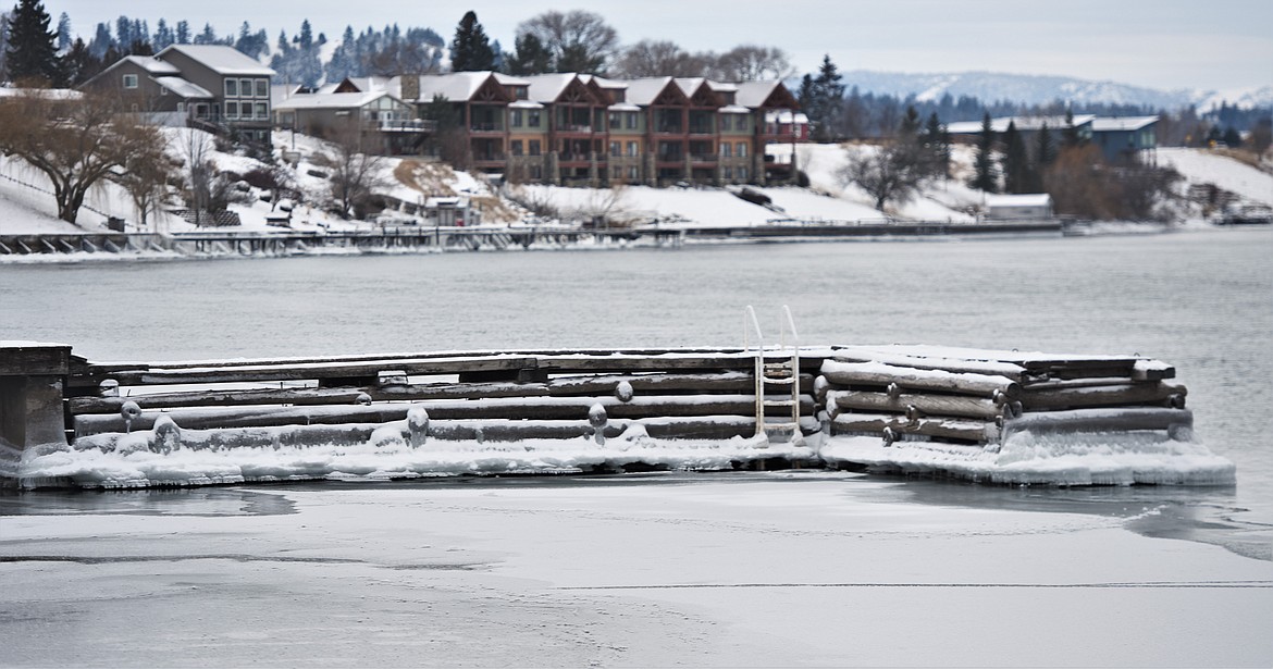 The 2022 plunge took place on the far side of the dock at Riverside Park. (Scot Heisel/Lake County Leader)