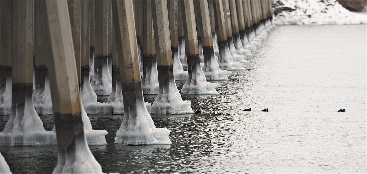 Some ducks swim near the ice-covered support beams of the Veterans Memorial Bridge. (Scot Heisel/Lake County Leader)