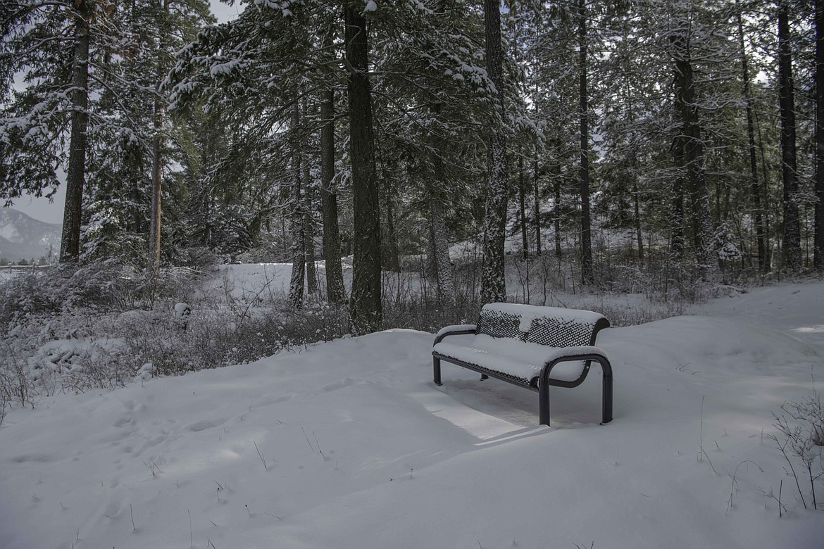 A snow-covered bench in Thompson Falls. (Tracy Scott/Valley Press)