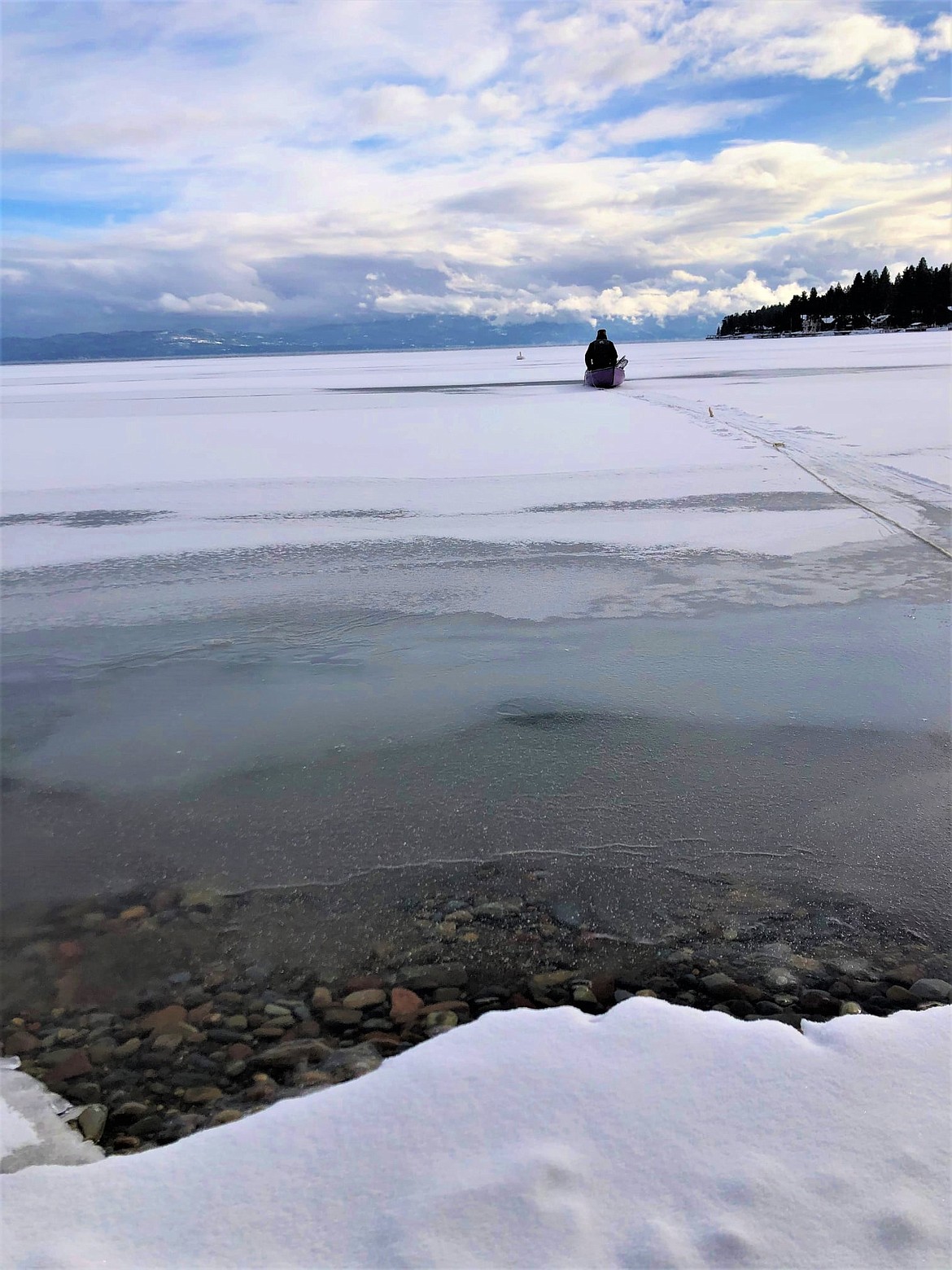 Coltrane safely skimmed across roughly 150 feet of patchy ice and retrieved the swan with a net. She carefully hauled the bird back to shore with the help of Cole and Tanner Johnson, a local resident who reported the incident.