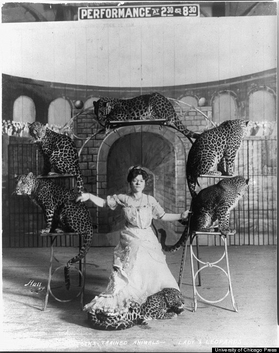 Animal acts sometimes generate controversy about cruelty, but many trainers insist that they are "gentle" with the animals by appealing to their natural behavior and reinforcing tricks with rewards, with women in the 19th century shown here “having a special appeal.”