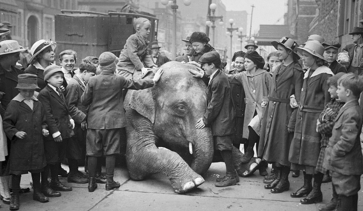 A blind child in Chicago sits on the back of a young elephant from the Ringling Brothers Circus in April 1917.