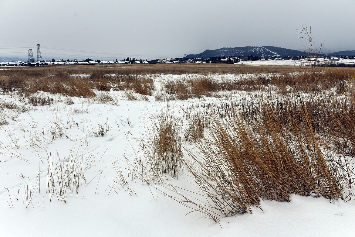 Site of a proposed development at West Springcreek Road and Three Mile Drive on Wednesday, Jan. 5. (Casey Kreider/Daily Inter Lake)