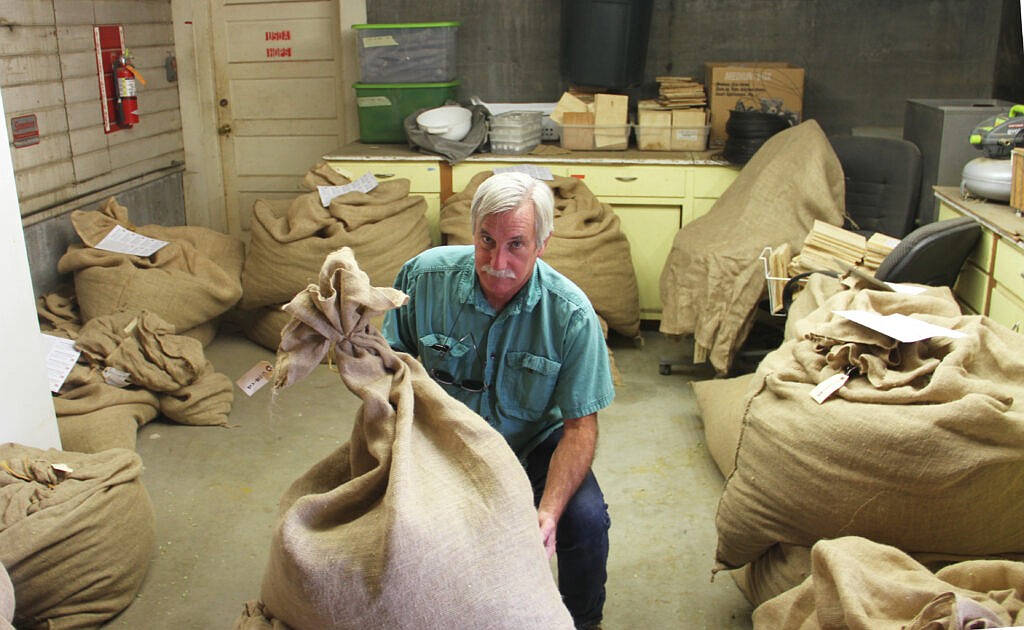 Doug Walsh displays sacks of dried hops in a workroom at WSU’s Irrigated Agriculture Research and Extension Center in Prosser.