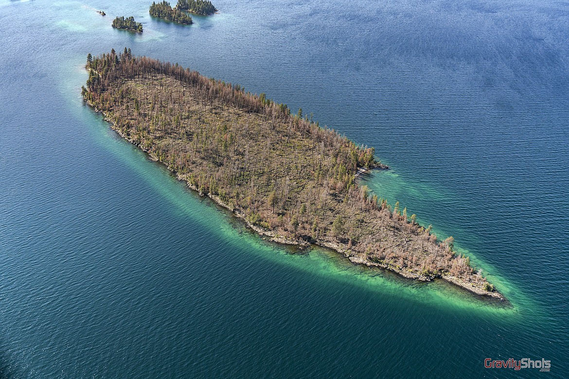 Bird Island burnt during the summer of 2020, and while FWP wasn't able to definitively find a cause for the fire, the incident pushed the agency to develop a new management plan as officials cleaned-up numerous fire rings and fires over the years on these islands. (gravityshots.com)