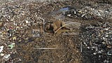 Elephants dying from eating plastic waste in Sri Lankan dump