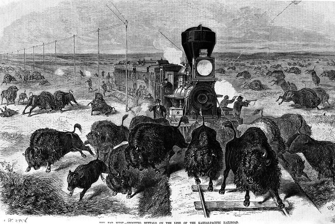 Shooting buffalo from the Kansas-Pacific Railroad.