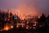 US plans $50B wildfire fight where forests meet suburbia